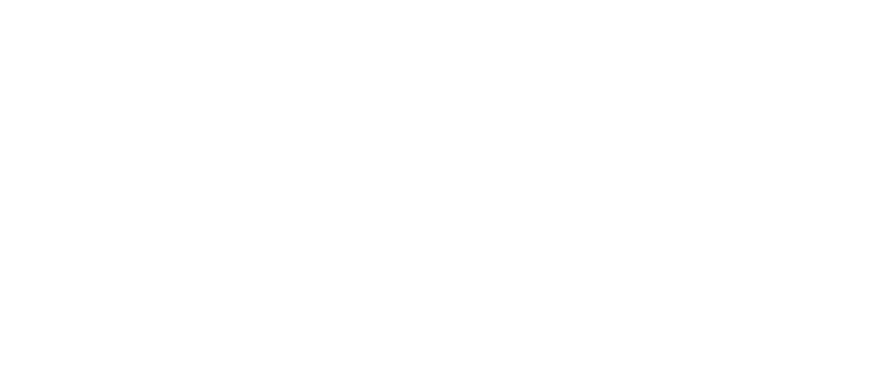 BudgetMedia Logo